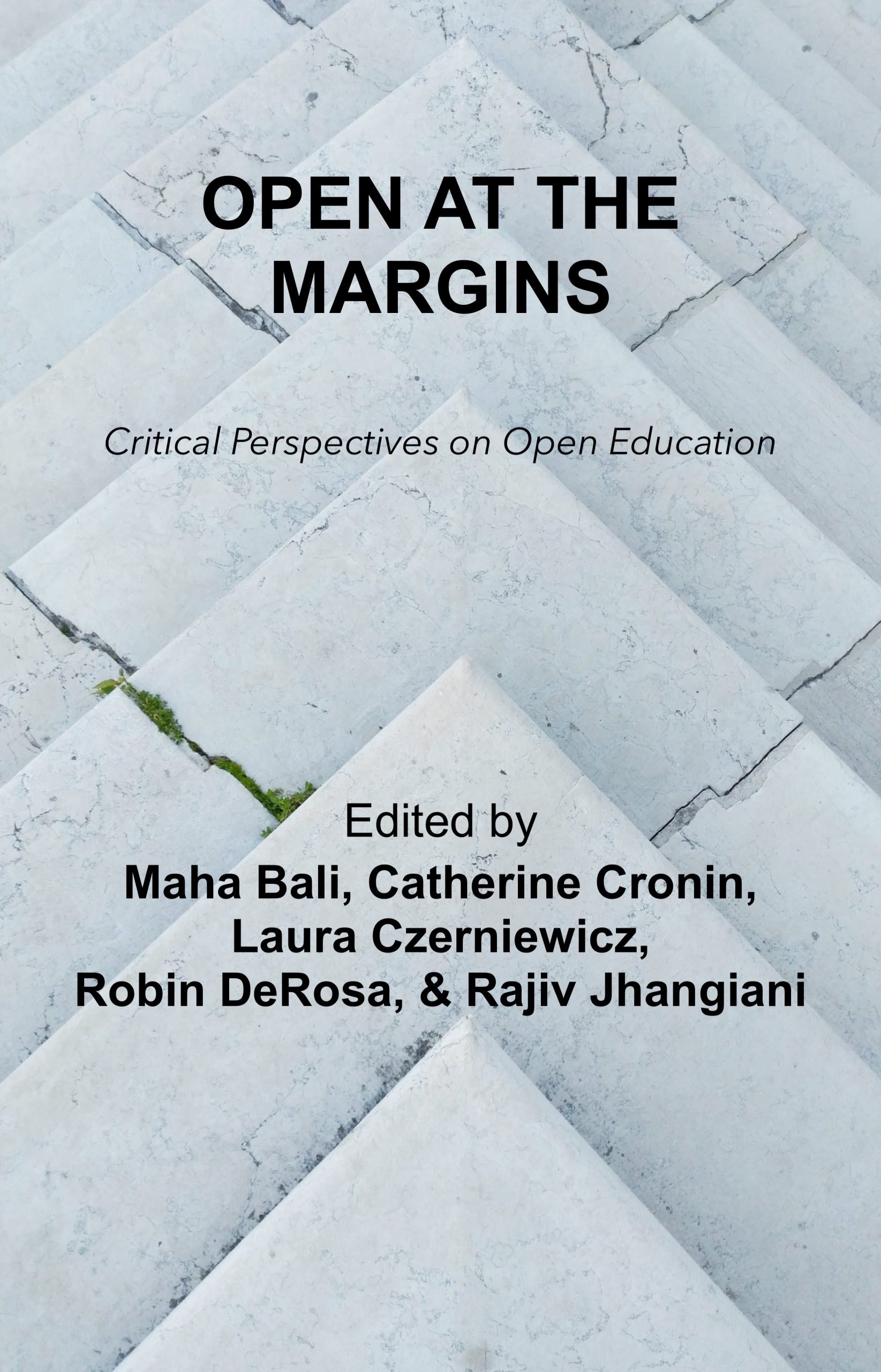 Cover image for Open at the Margins