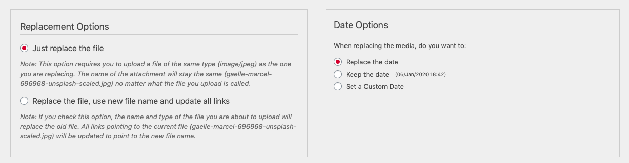 Replacement Options and Date Options settings