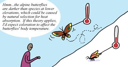 Theories are broad explanations for a wide range of phenomena. They are concise, coherent, systematic, predictive, and broadly applicable.