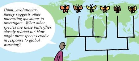 Over-arching theories are particularly important and reflect broad understandings of a particular part of the natural world.