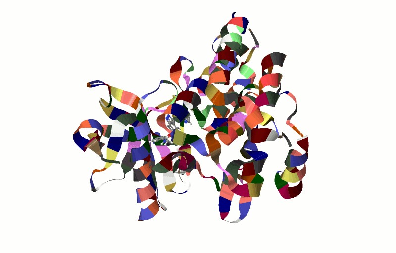 Figure 21.1 Three-dimensional Structure of a Protein. The folding of a peptide chain into its three-dimensional structure determines its function.