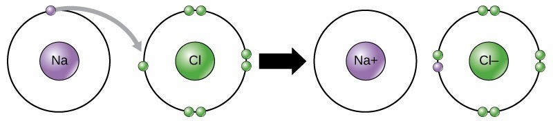 Figure 21.2 In the formation of an ionic compound, metals lose electrons and nonmetals gain electrons to achieve an octet.