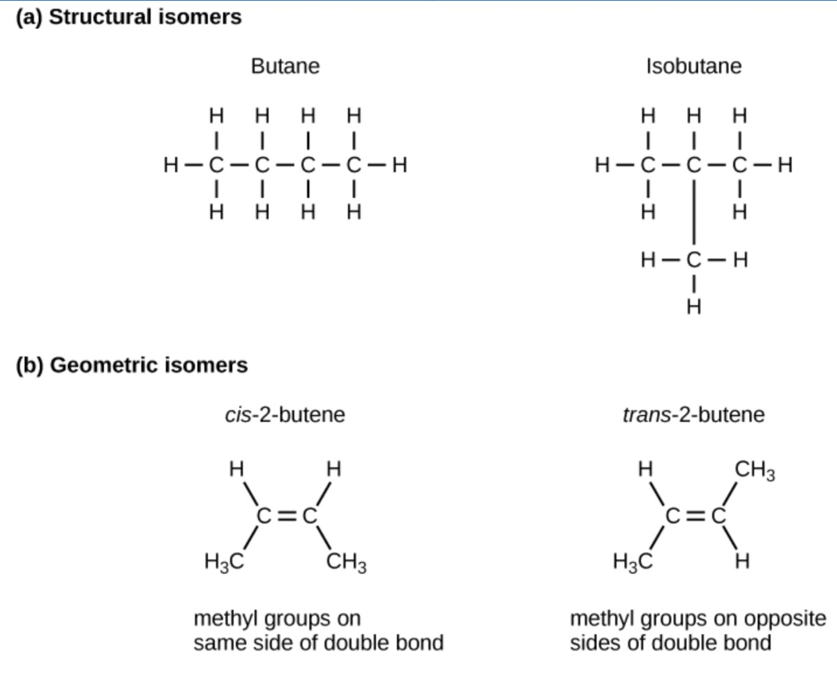 Figure 29.3. Structural and geometric isomers.