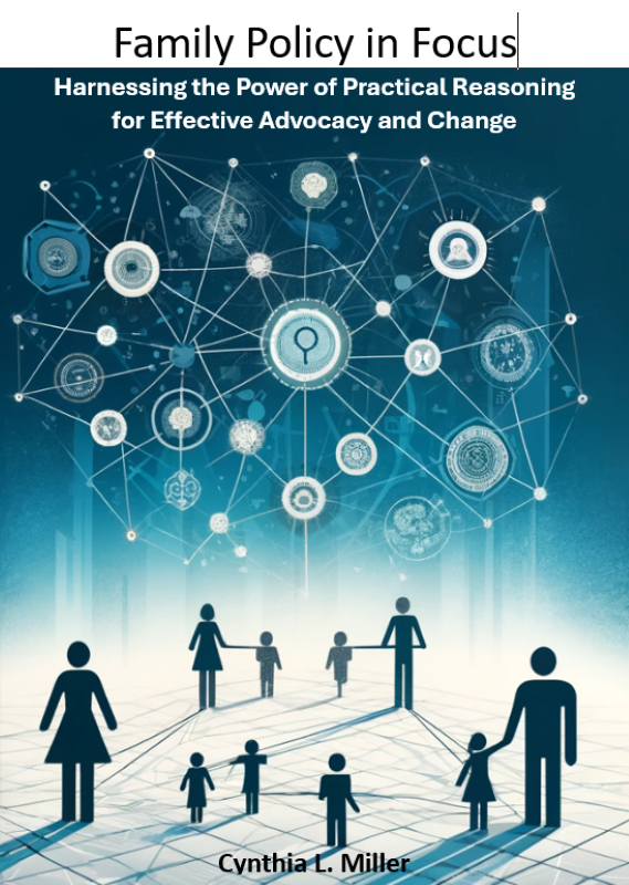 Cover image for Family Policy in Focus