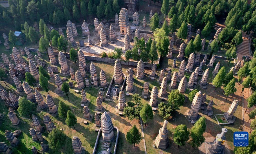 Shaolin Pagoda Forest