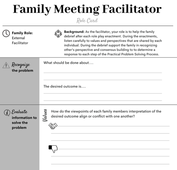 Family Meeting Facilitator